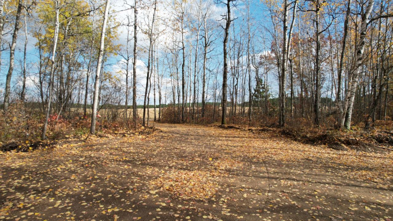 15-acres Mitchell Road Harshaw, WI 54529 - Photo 6 of 49 Gallery Image 6