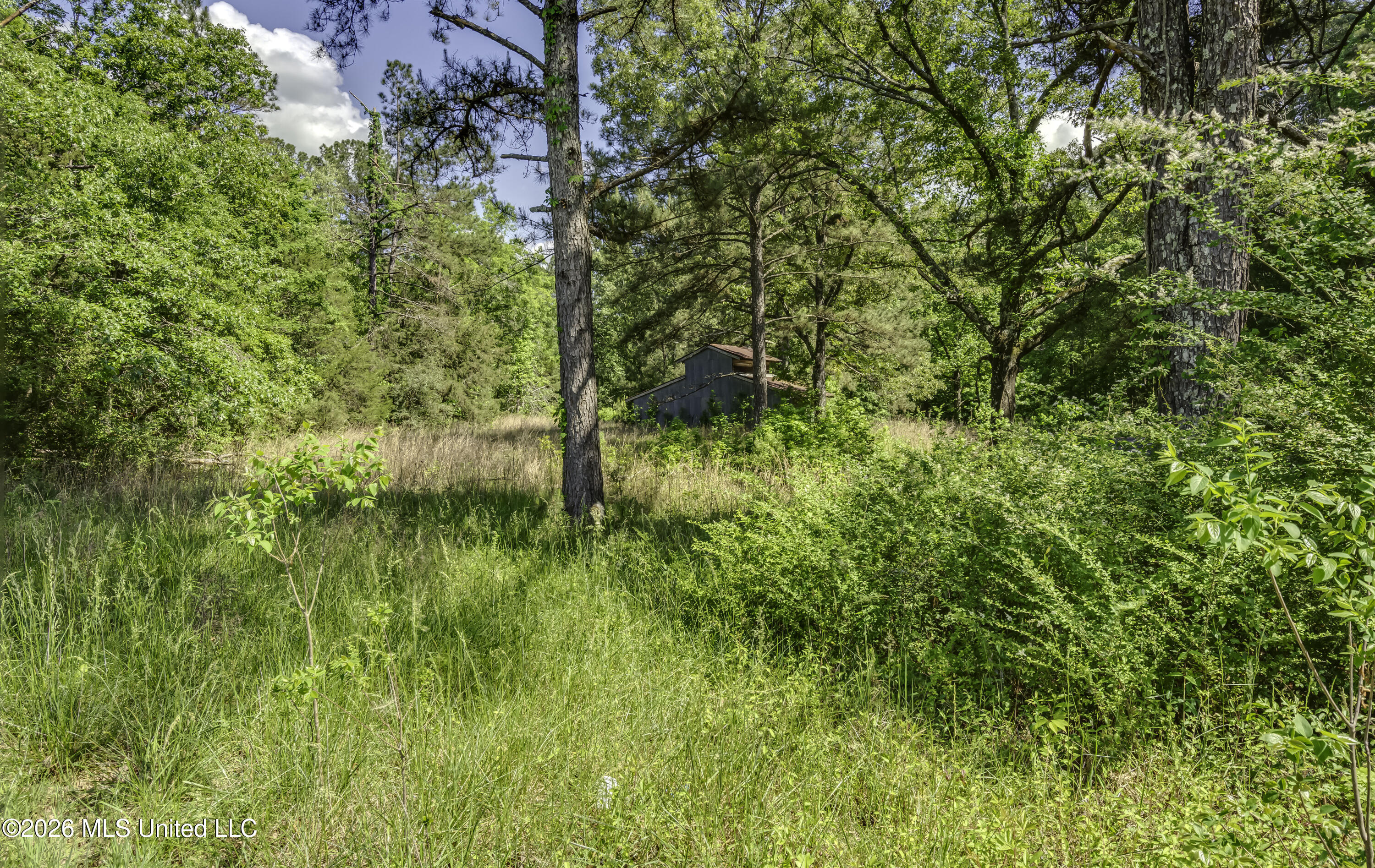 6118 Terry Road Byram, MS 39272 - Photo 55 of 62 6118 Terry Rd--58