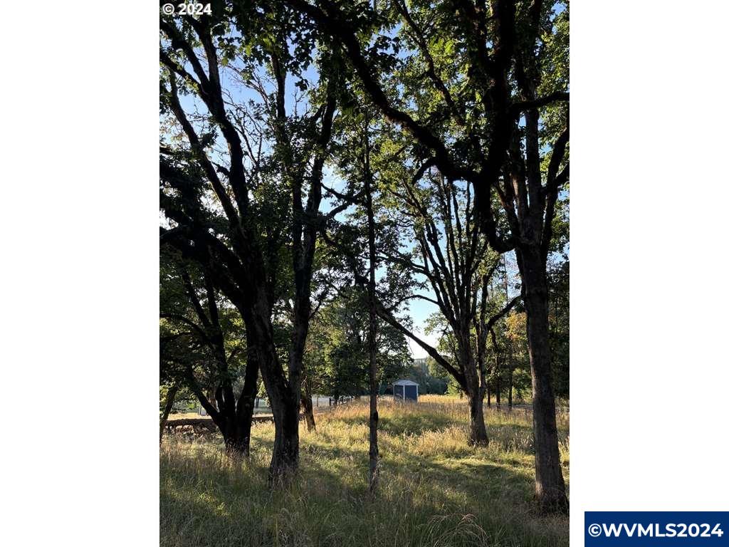 436096 May Road Dallas, OR 97338 - Photo 5 of 8