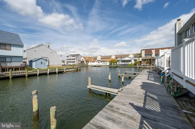 a view of a lake with boats and trees in the background
