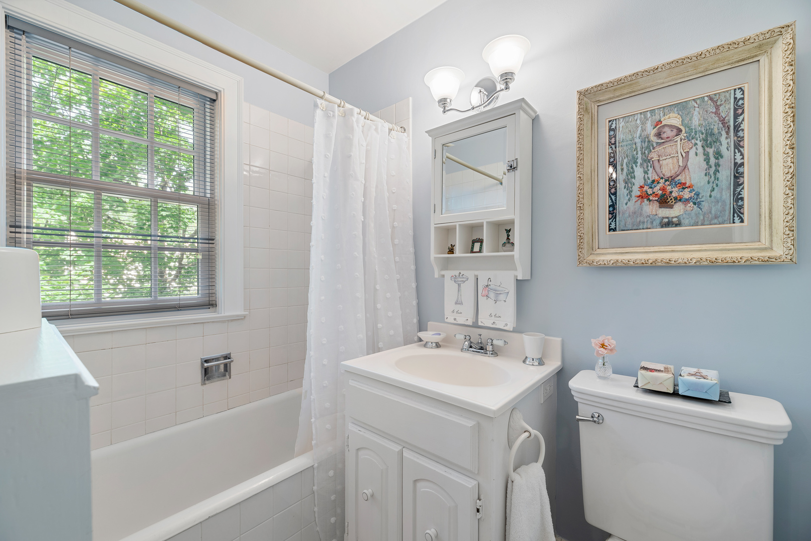 611 County Line Road Highland Park, IL 60035 - Photo 36 of 49 a bathroom with a sink mirror vanity and toilet
