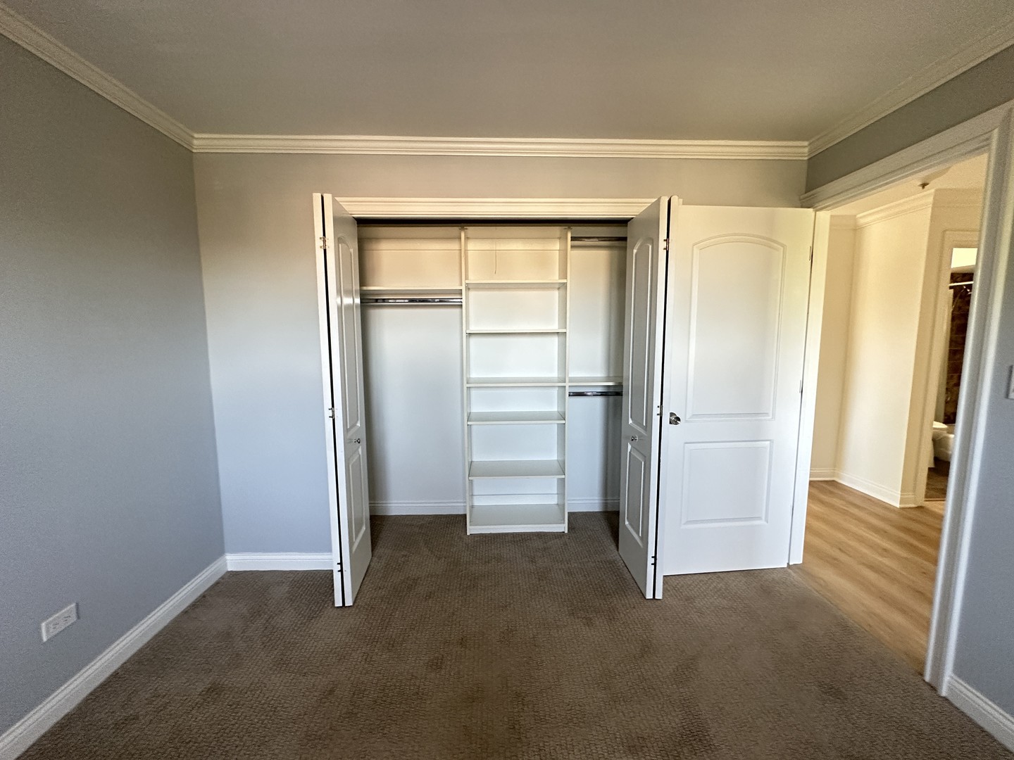 5 Echo Court, Unit 12 Vernon Hills, IL 60061 - Photo 9 of 14 a view of closet area