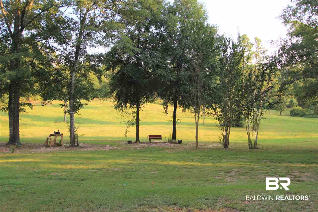794 Dry Lake Road Luverne, AL 36049 - Photo 30 of 48 Front Pasture