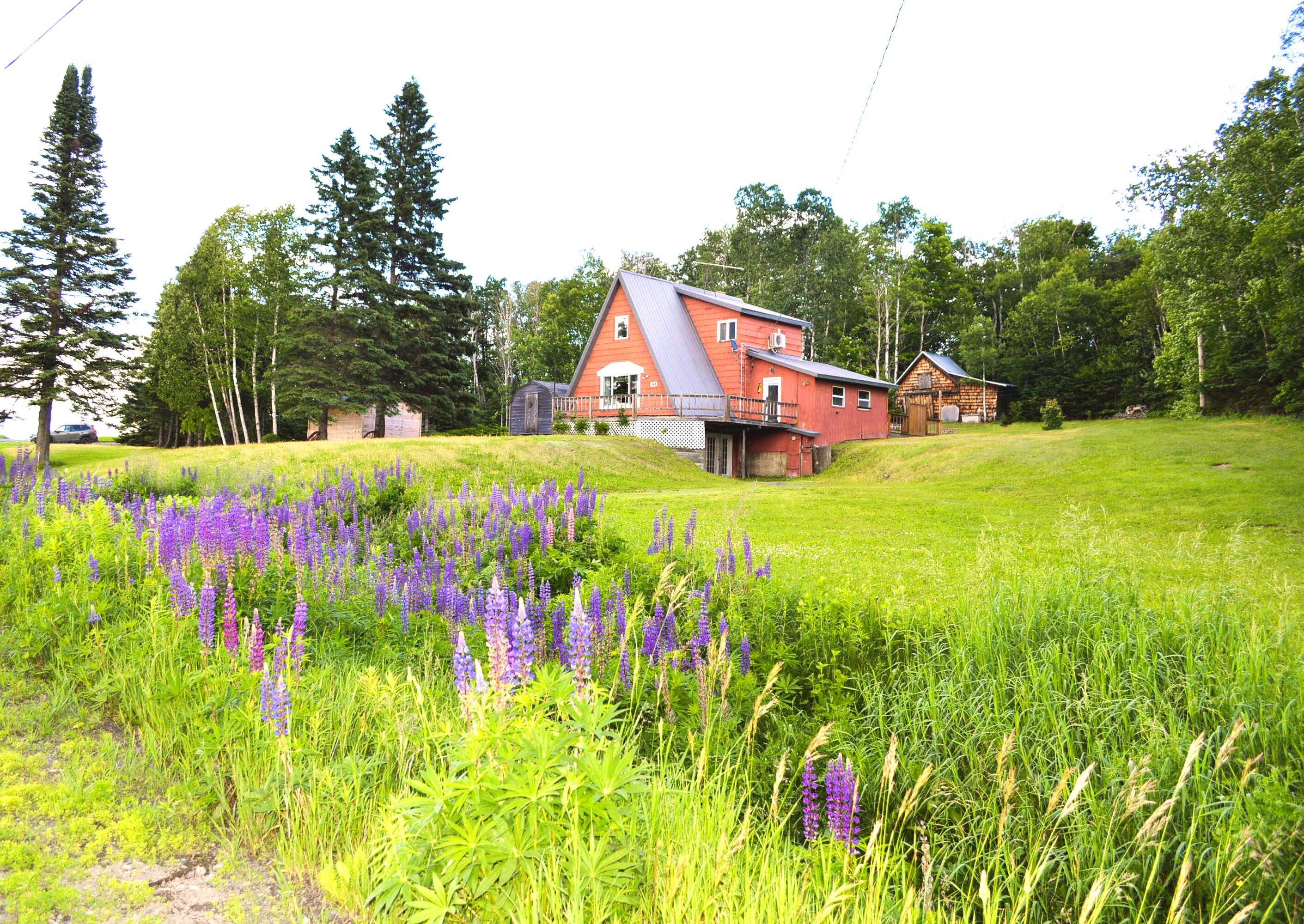 348 Strip Road Wallagrass, ME 04781 - Photo 2 of 43