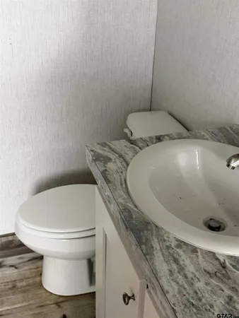 a bathroom with a shower and a toilet