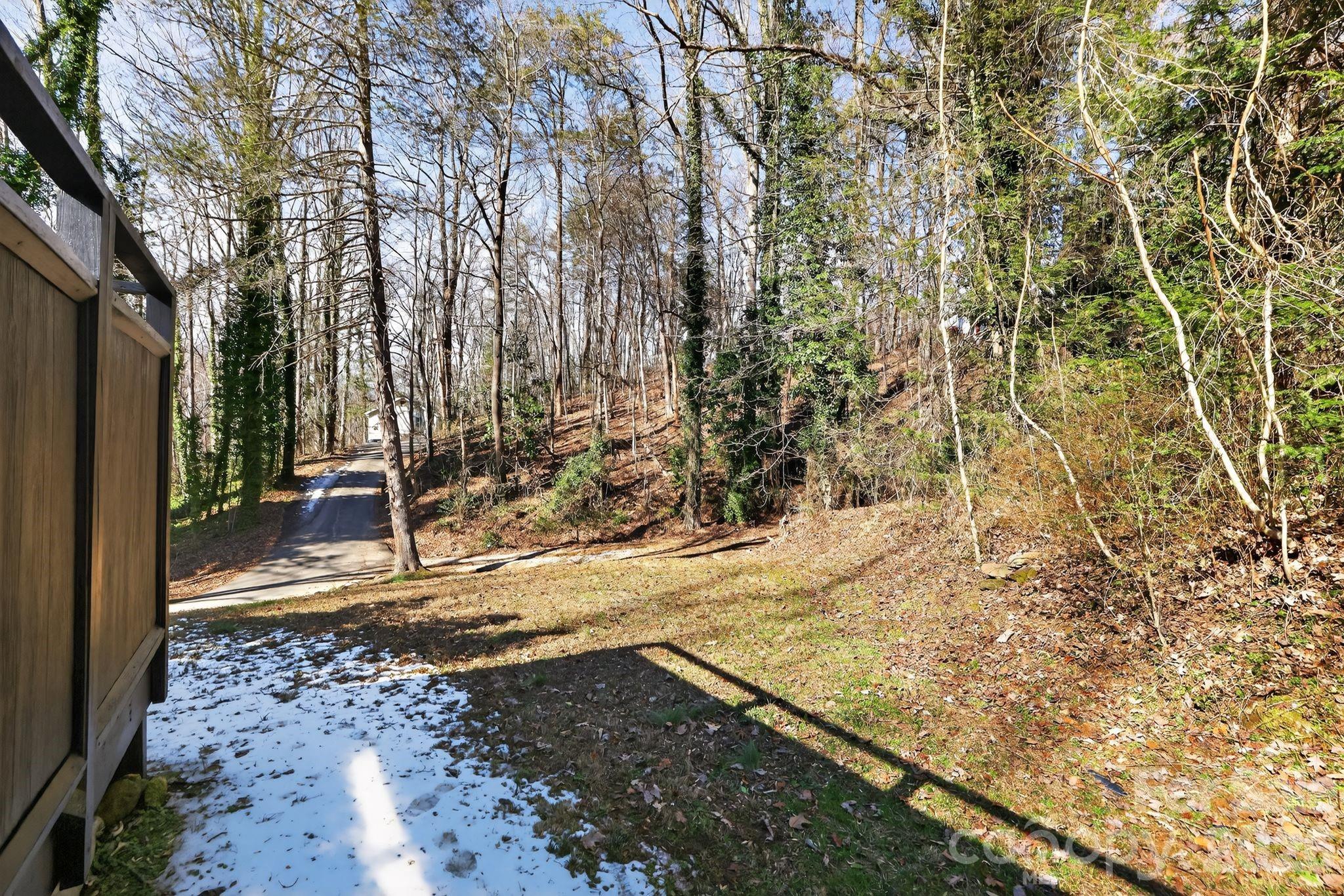 110 Pine Street Tryon, NC 28782 - Photo 11 of 32