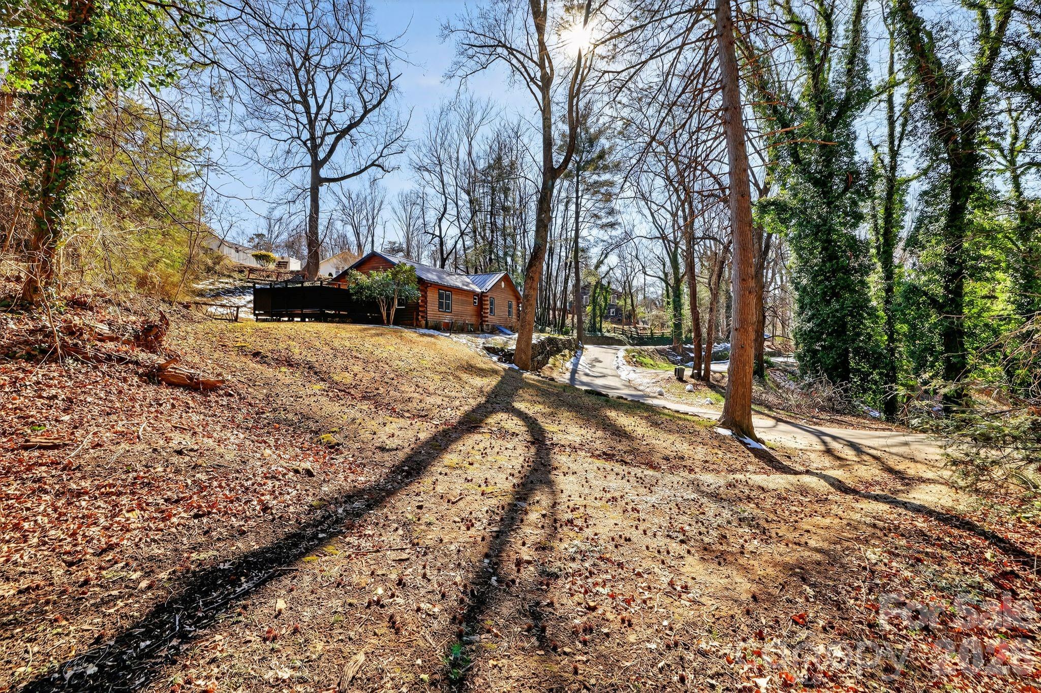 110 Pine Street Tryon, NC 28782 - Photo 3 of 32