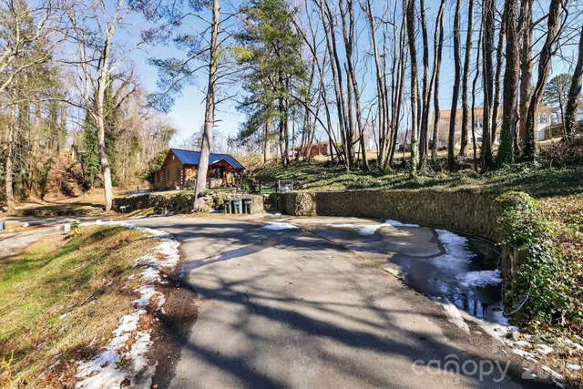 a view of a park with tree s