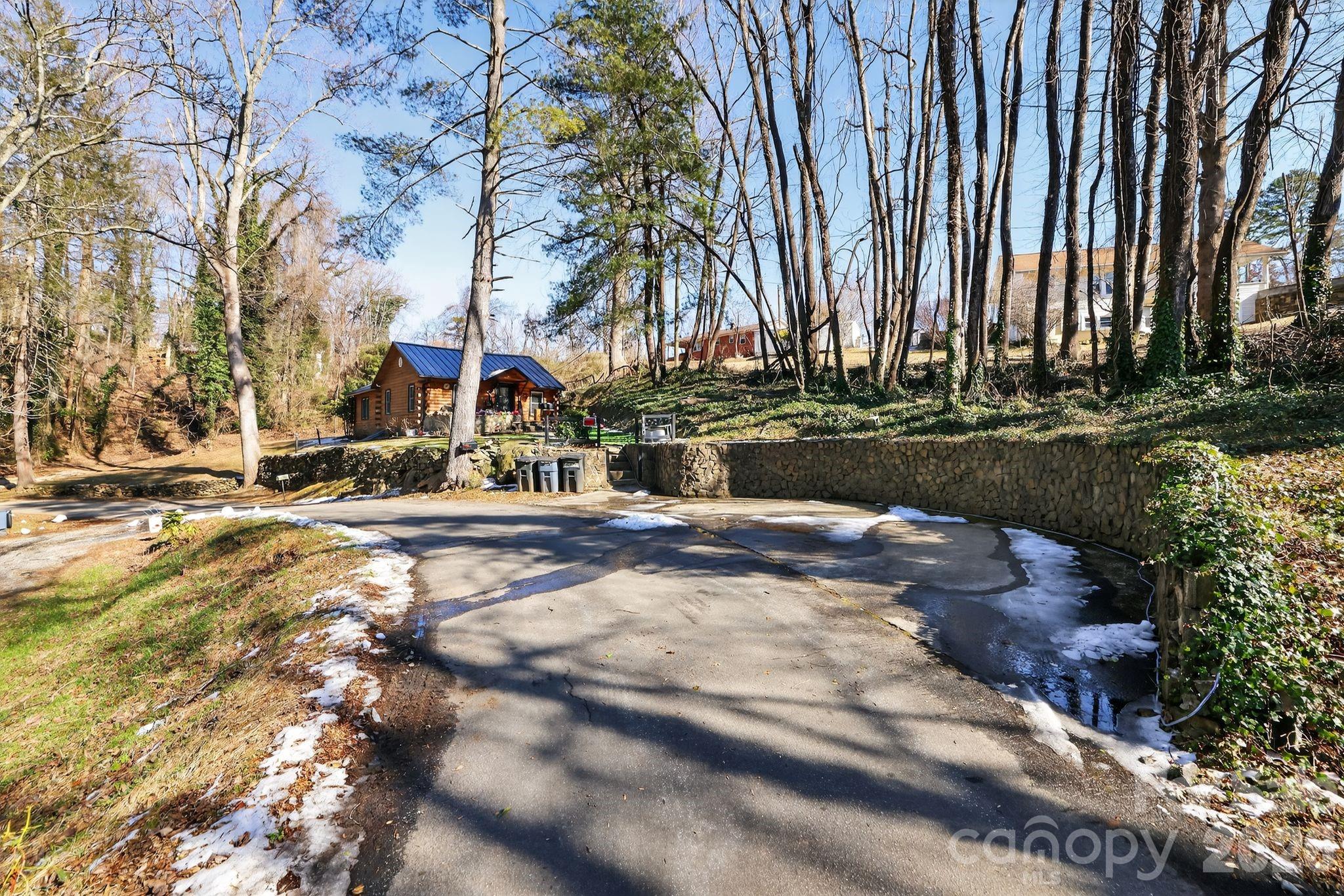 110 Pine Street Tryon, NC 28782 - Photo 5 of 32