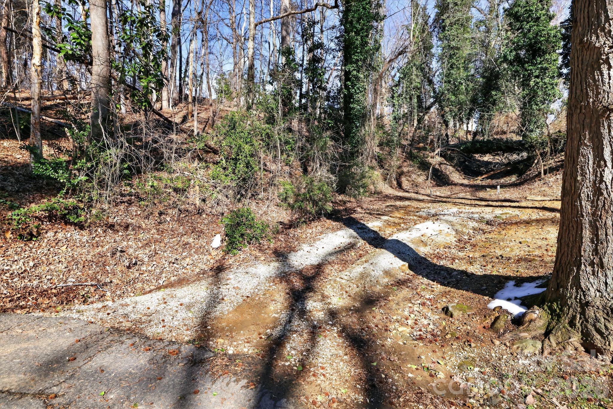 110 Pine Street Tryon, NC 28782 - Photo 7 of 32