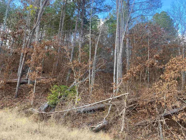 $99,999 | 2 Rose Creek Road, Hornsby, TN 38044