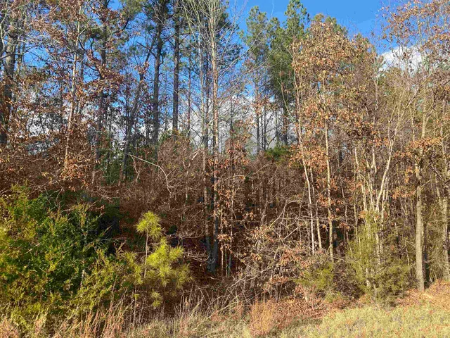 $99,999 | 2 Rose Creek Road, Hornsby, TN 38044