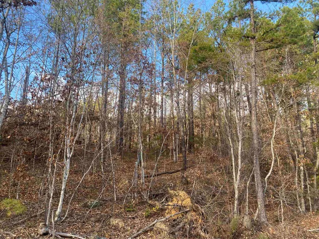 $99,999 | 2 Rose Creek Road, Hornsby, TN 38044