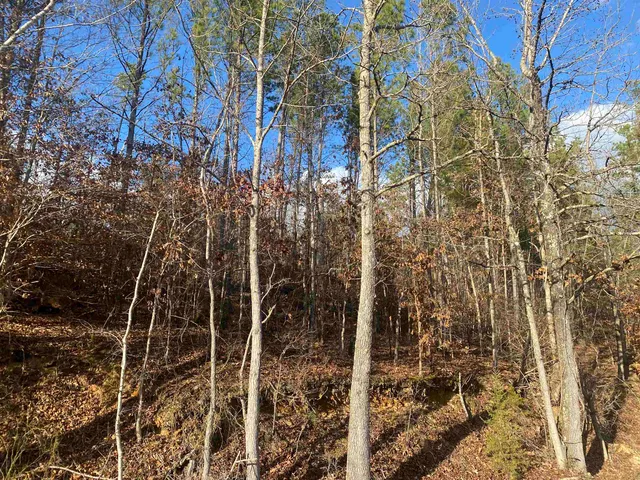 $99,999 | 2 Rose Creek Road, Hornsby, TN 38044