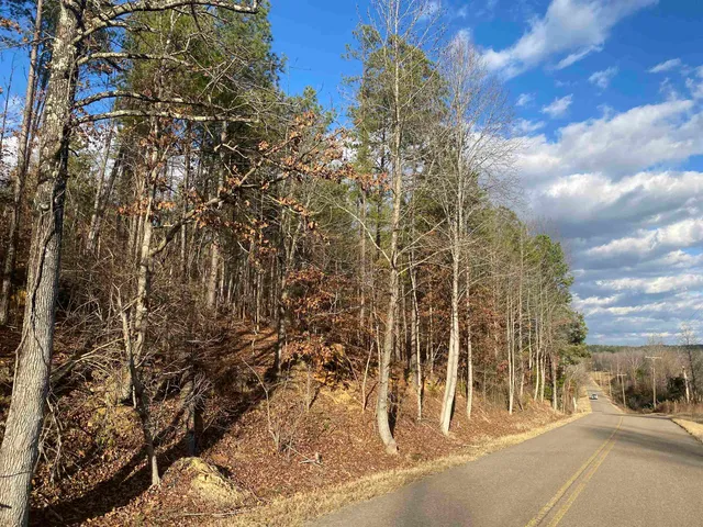 $99,999 | 2 Rose Creek Road, Hornsby, TN 38044