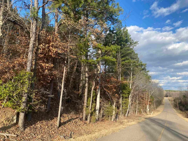 $99,999 | 2 Rose Creek Road, Hornsby, TN 38044