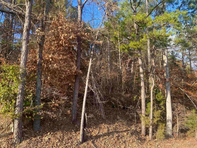 $99,999 | 2 Rose Creek Road, Hornsby, TN 38044