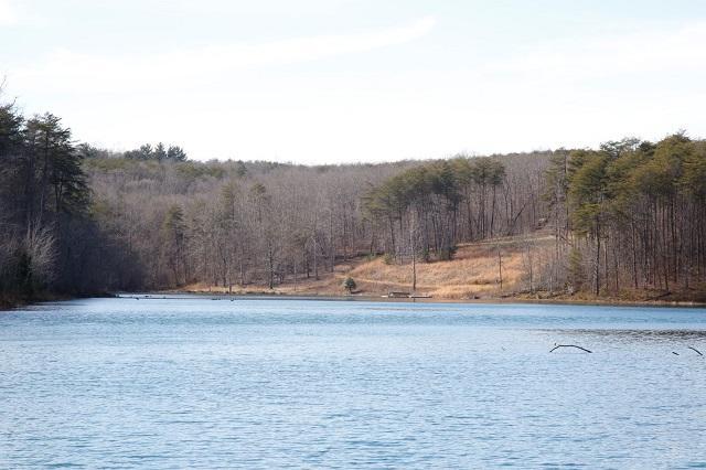 Lot #7 Timberlake Development Spring, Unit 7 Spring City, TN 37381 - Photo 3 of 12 20190312170256309112000000-o