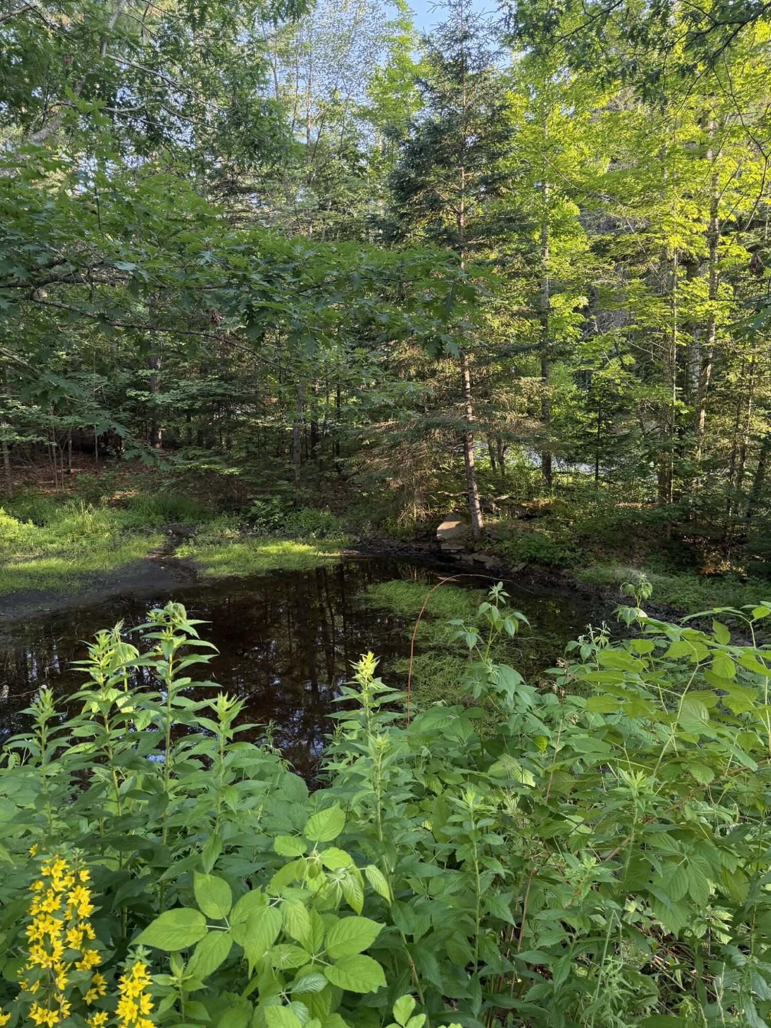98 Hog Bay Road Franklin, ME 04634 - Photo 74 of 76 att.LY9ZDXyR7KGV4fZLR_MqLPFrHpWqeWoww0VC