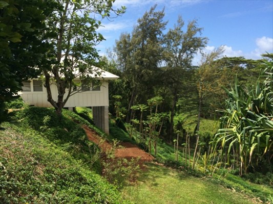 3765 Omao Road, Unit B Koloa, HI 96756 - Photo 1 of 16 a view of a garden