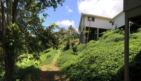 3765 Omao Road, Unit B Koloa, HI 96756 - Photo 5 of 16 a view of a house with a tree