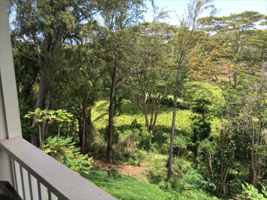 3765 Omao Road, Unit B Koloa, HI 96756 - Photo 9 of 16 a view of a garden