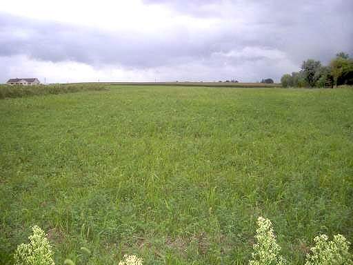 a view of a big yard with a house in the background