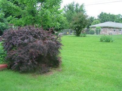 1603 Raleigh Road Lexington, KY 40505 - Photo 22 of 30 Photo 22