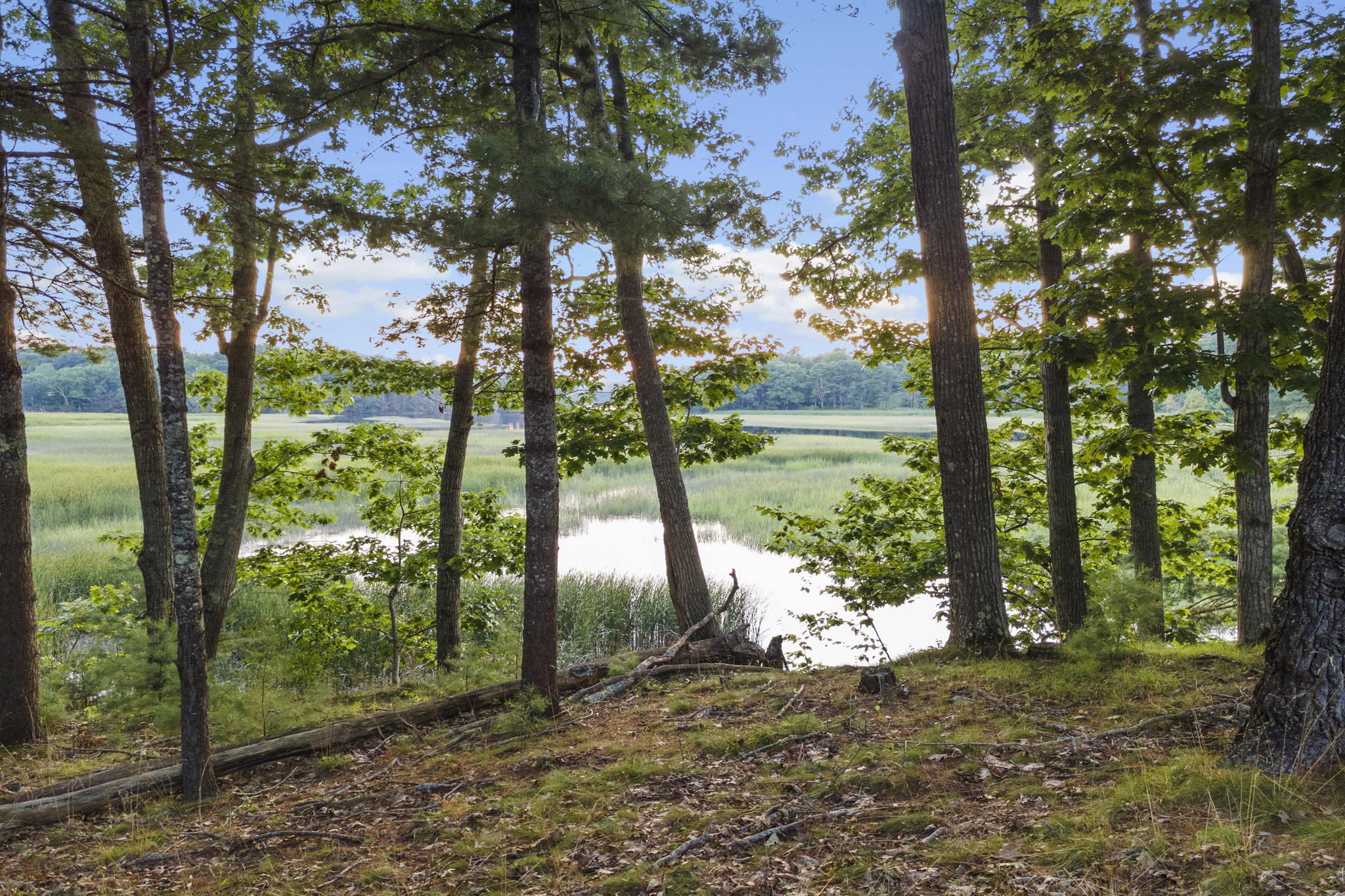 201 Barley Neck Road Woolwich, ME 04579 - Photo 104 of 141 50-web-or-mls-DJI_0397