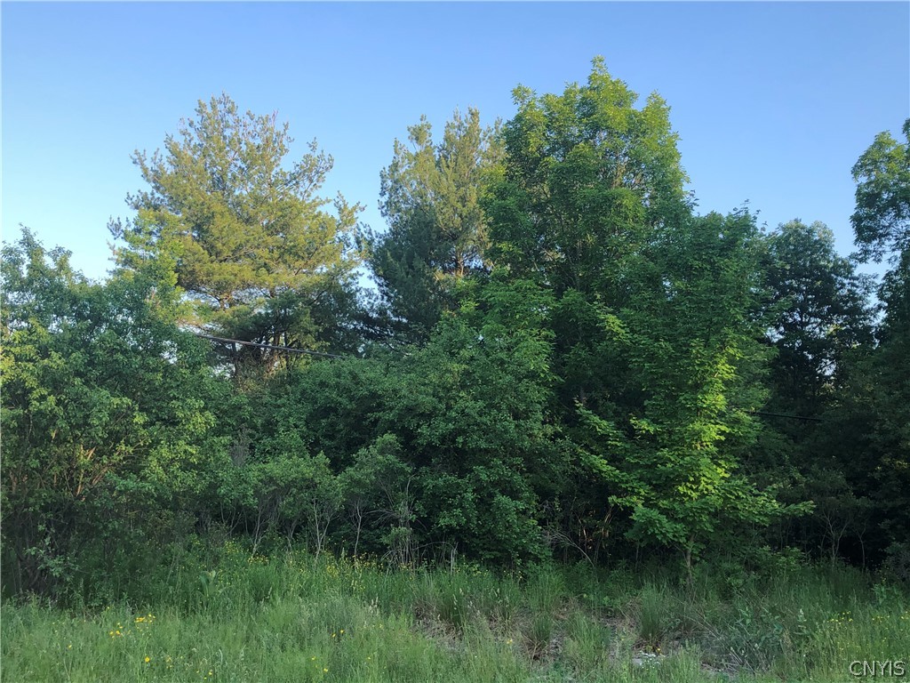 1 Old Goose Bay Road Redwood, NY 13679 - Photo 1 of 1 Gallery Image 1