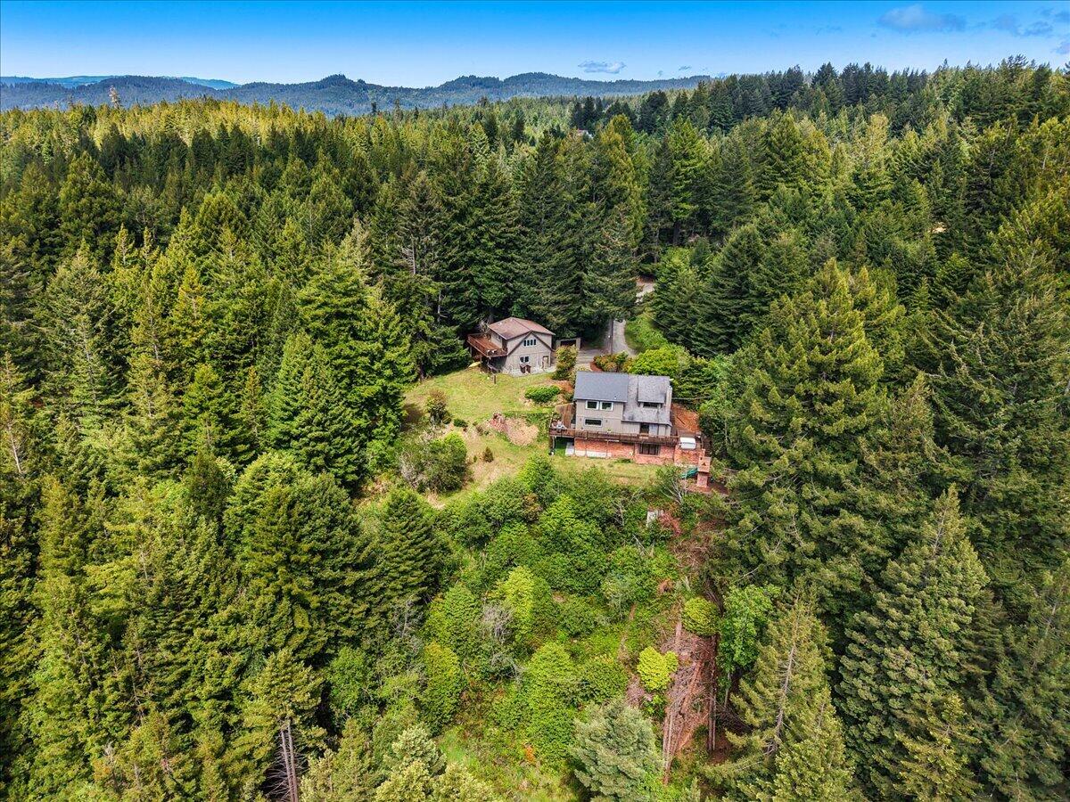 186 Shale Road Kneeland, CA 95549 - Photo 6 of 77