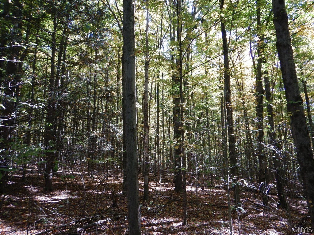 Phillips Road Windsor, NY 13865 - Photo 14 of 43 Gallery Image 14