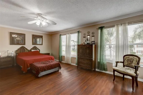 a living room with a bed furniture and a window