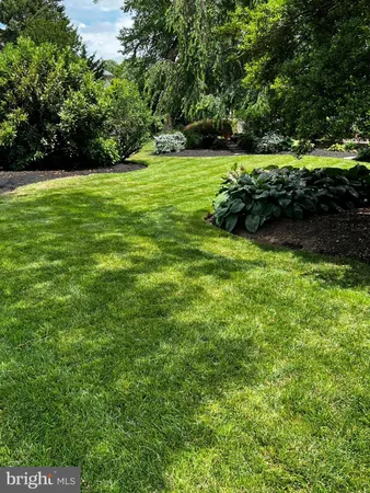 a view of field with grass and trees