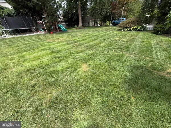 a view of a tree in a yard