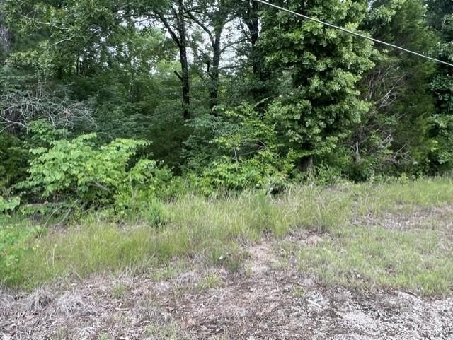 Burnett Mills Road Bolivar, TN 38008 - Photo 2 of 6
