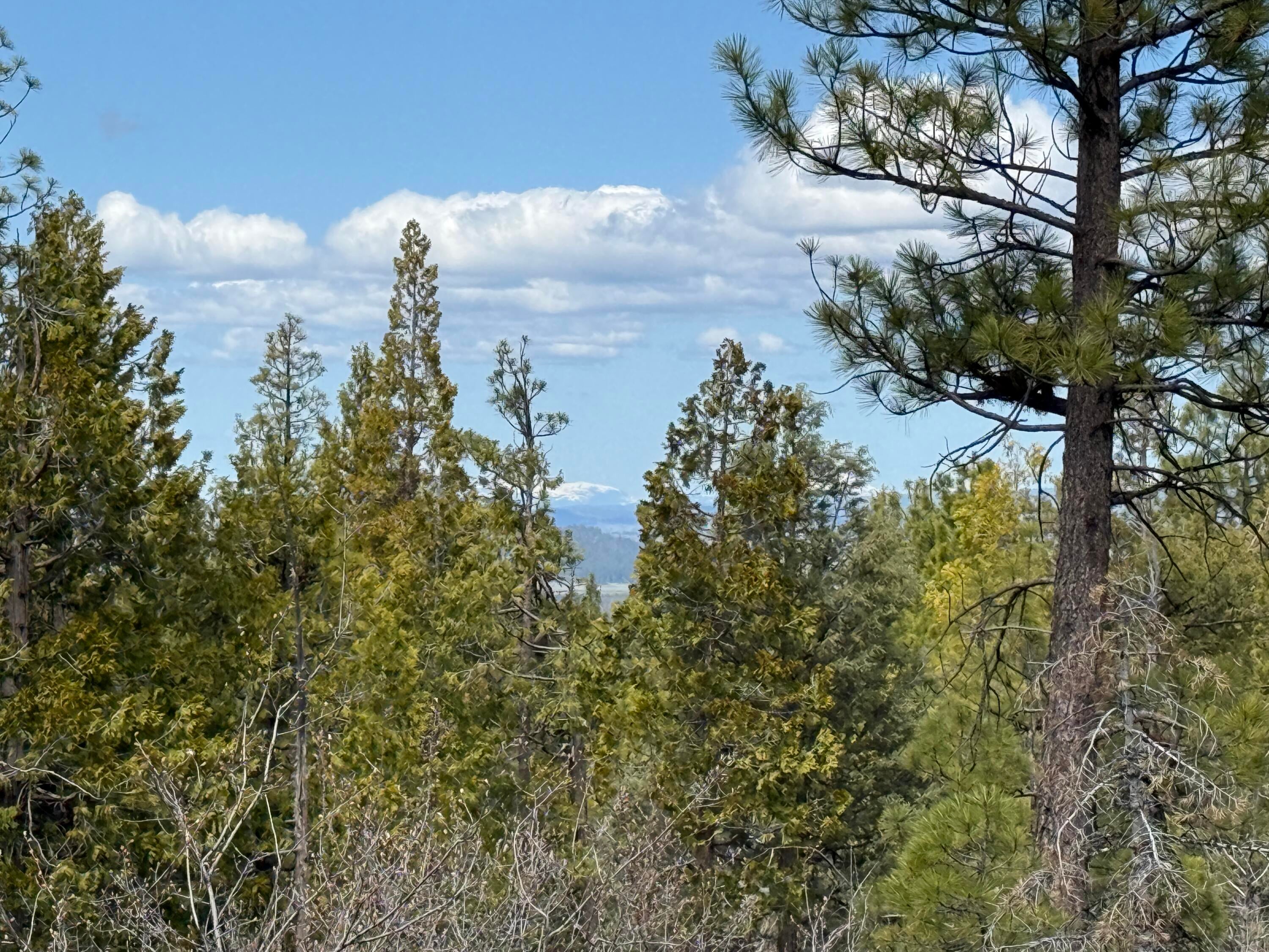 IMG_0807
