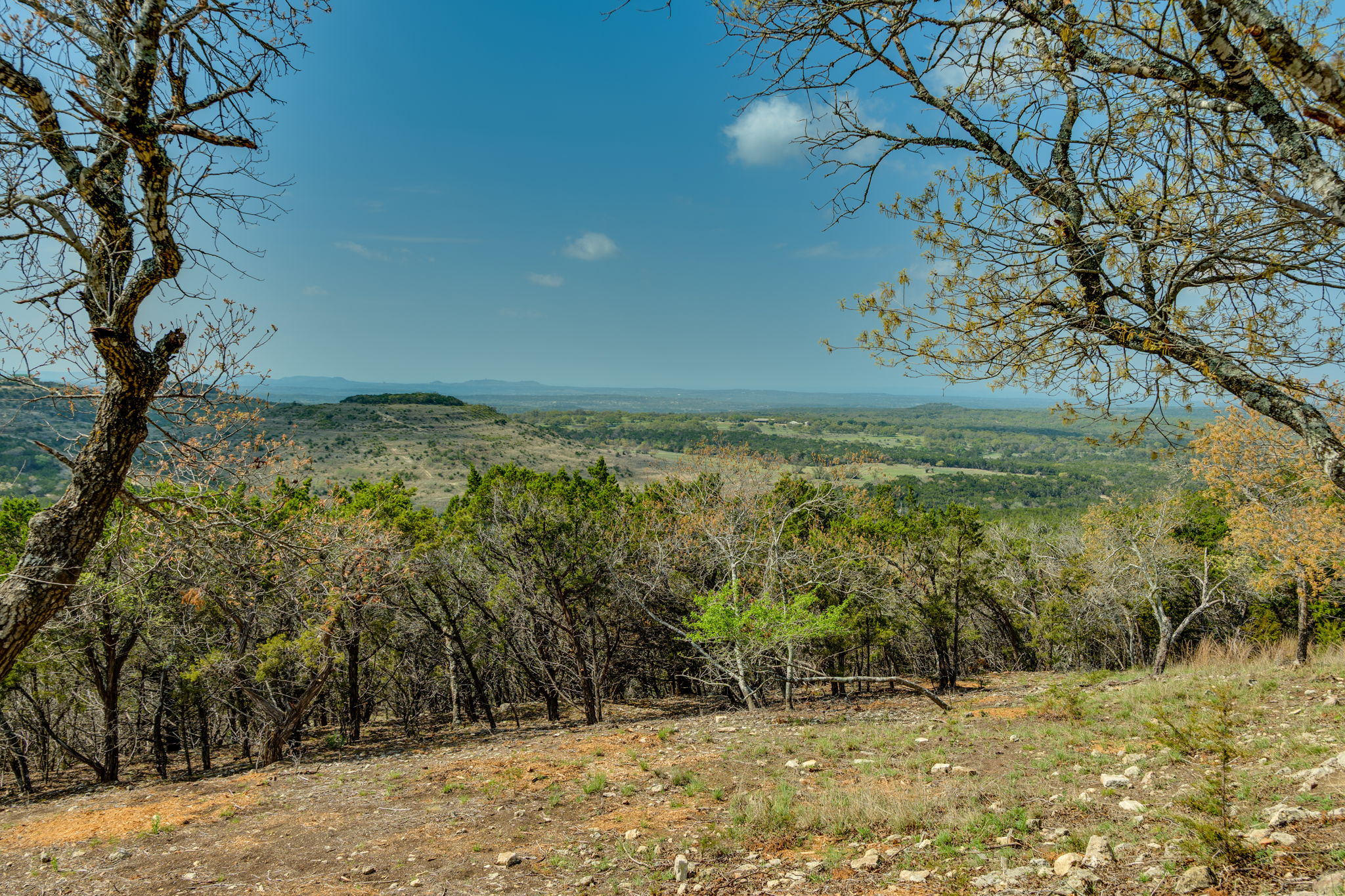 281 Kloster Lane Blanco, TX 78606 - Photo 24 of 40 a view of a field with an trees