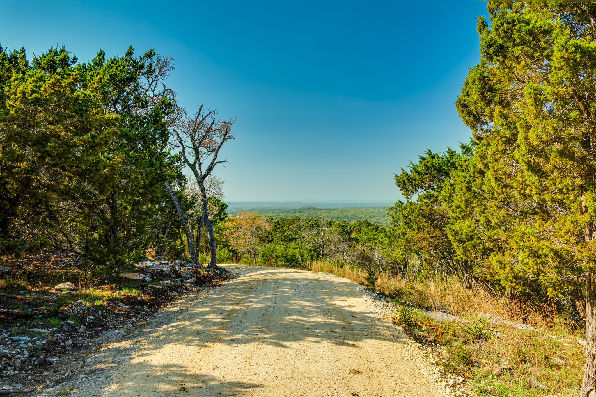 281 Kloster Lane Blanco, TX 78606 - Photo 25 of 40 a view of a yard with trees