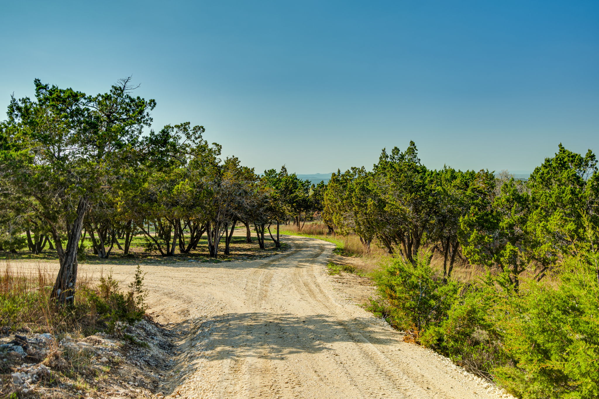 281 Kloster Lane Blanco, TX 78606 - Photo 28 of 40 a view of yard with trees
