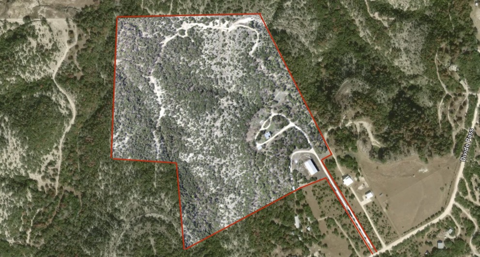 281 Kloster Lane Blanco, TX 78606 - Photo 39 of 40 a view of a tree in a yard