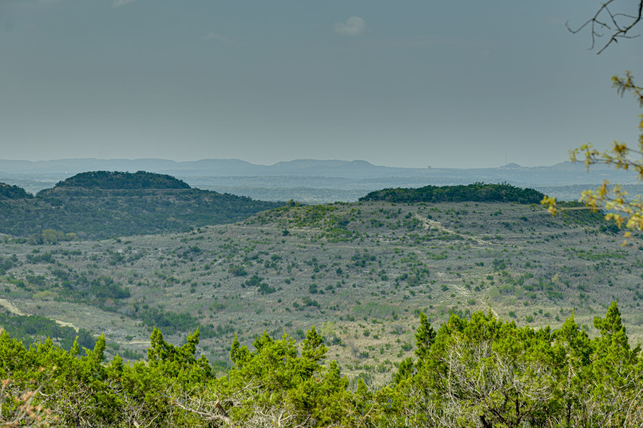 281 Kloster Lane Blanco, TX 78606 - Photo 6 of 40 a view of a dry field with trees in background