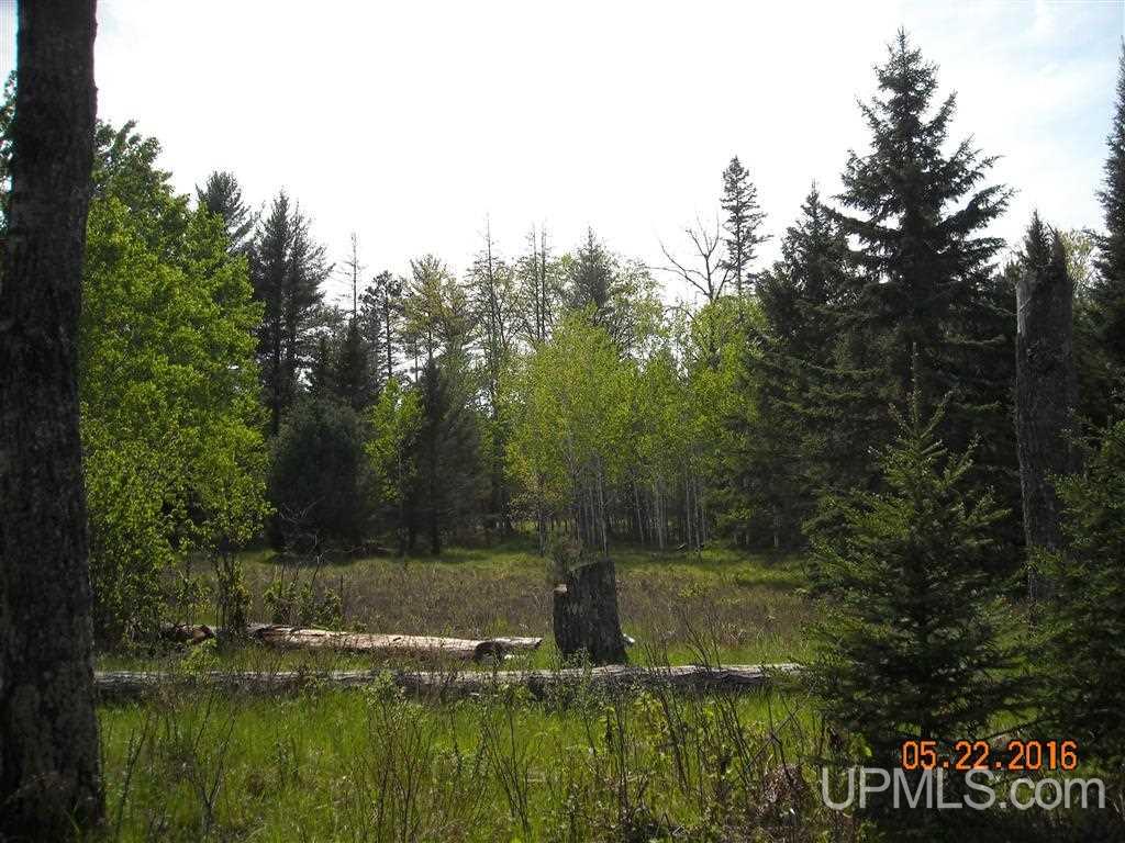 T-wi River Forest Road, Unit LOT 7 Florence, WI 54121 - Photo 5 of 6
