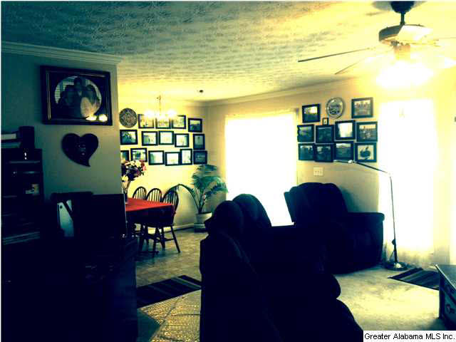 30 Deer Path Anniston, AL 36207 - Photo 5 of 30