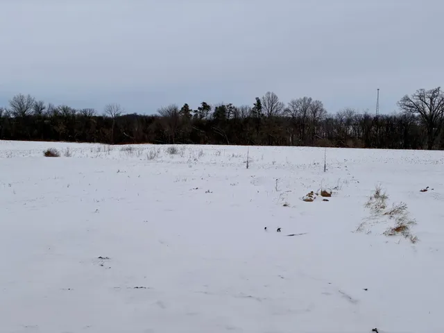 $324,900 | 911 3rd Street East, Wanamingo, MN 55983