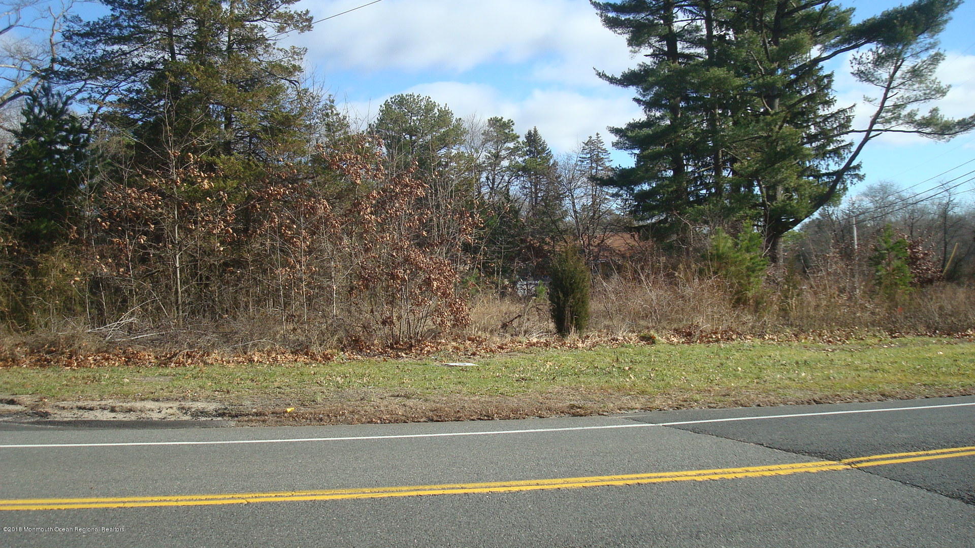 266 Thompson Bridge Road Jackson, NJ 08527 - Photo 2 of 4 a view of a yard and a lots of bushes