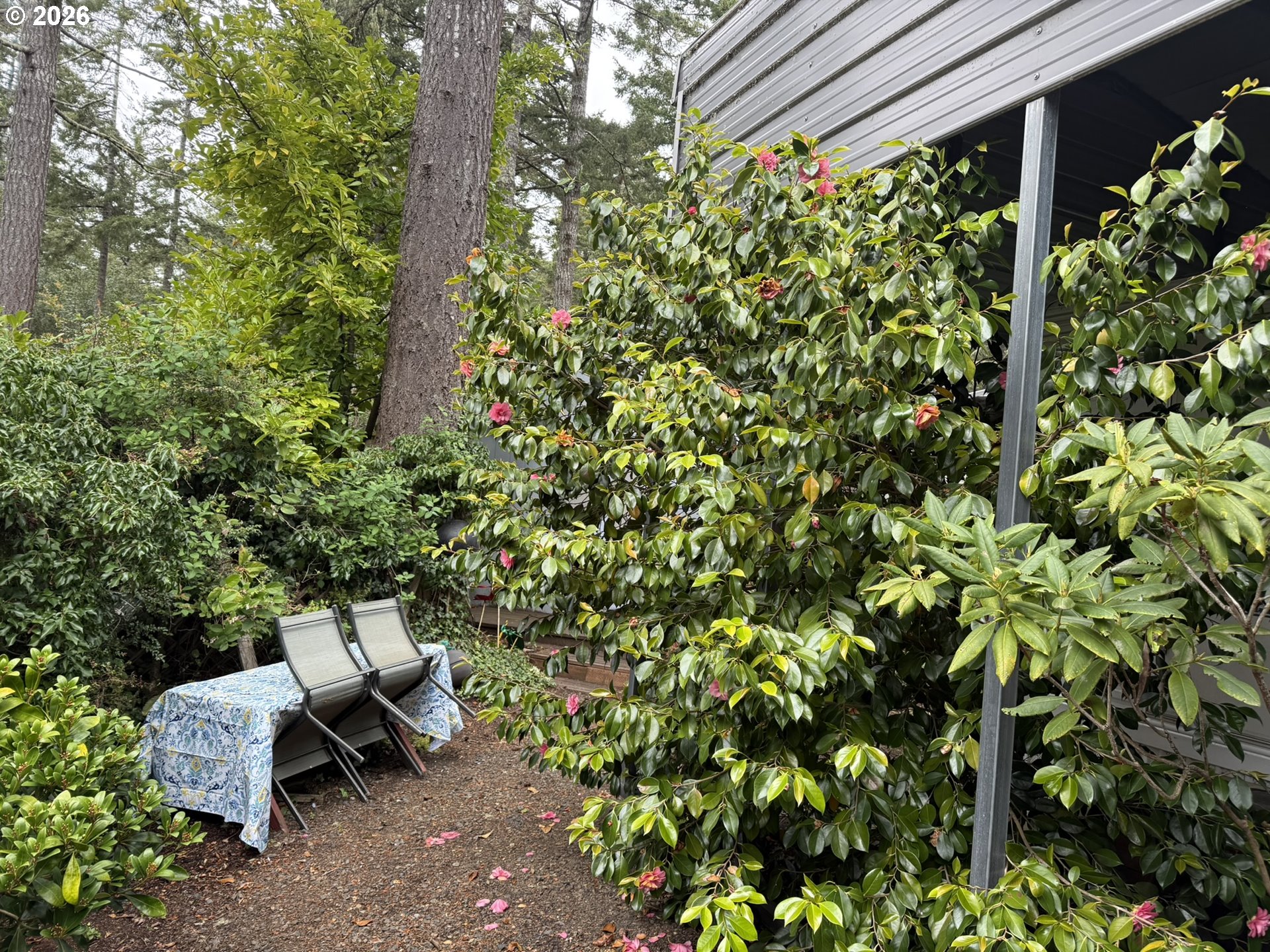 112 Sailor Lane Florence, OR 97439 - Photo 36 of 44 a view of a backyard with sitting area
