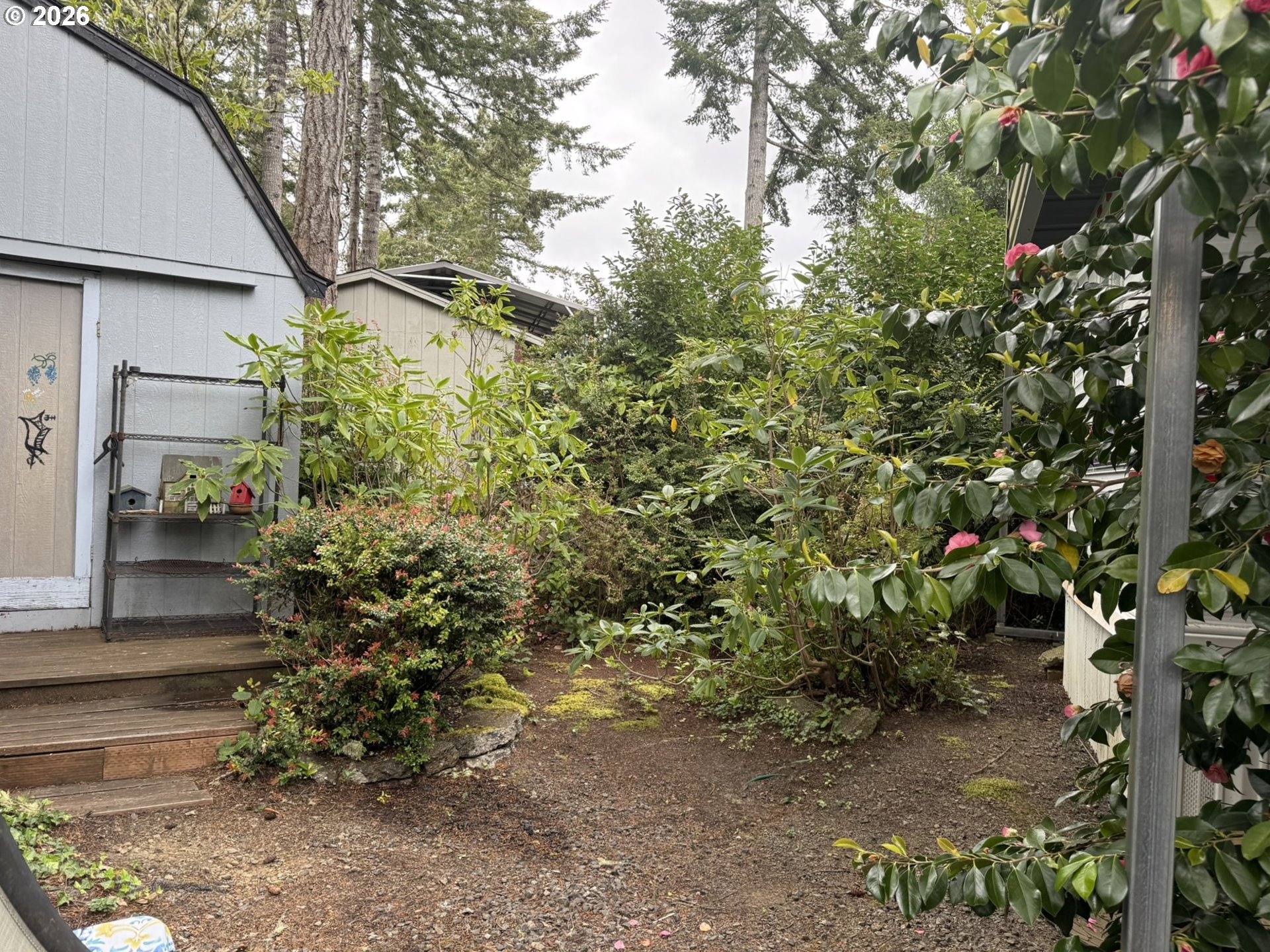 112 Sailor Lane Florence, OR 97439 - Photo 40 of 44 a view of a house with a tree
