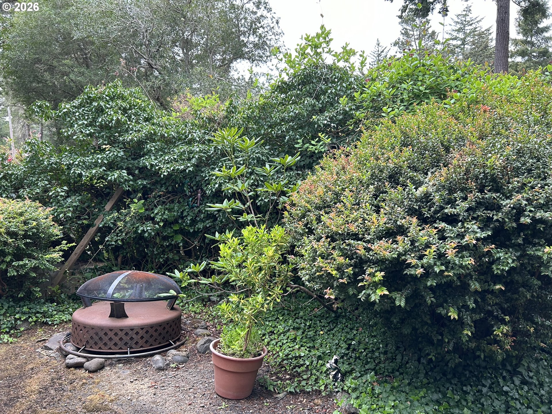 112 Sailor Lane Florence, OR 97439 - Photo 6 of 44 a view of a garden with a water fountain