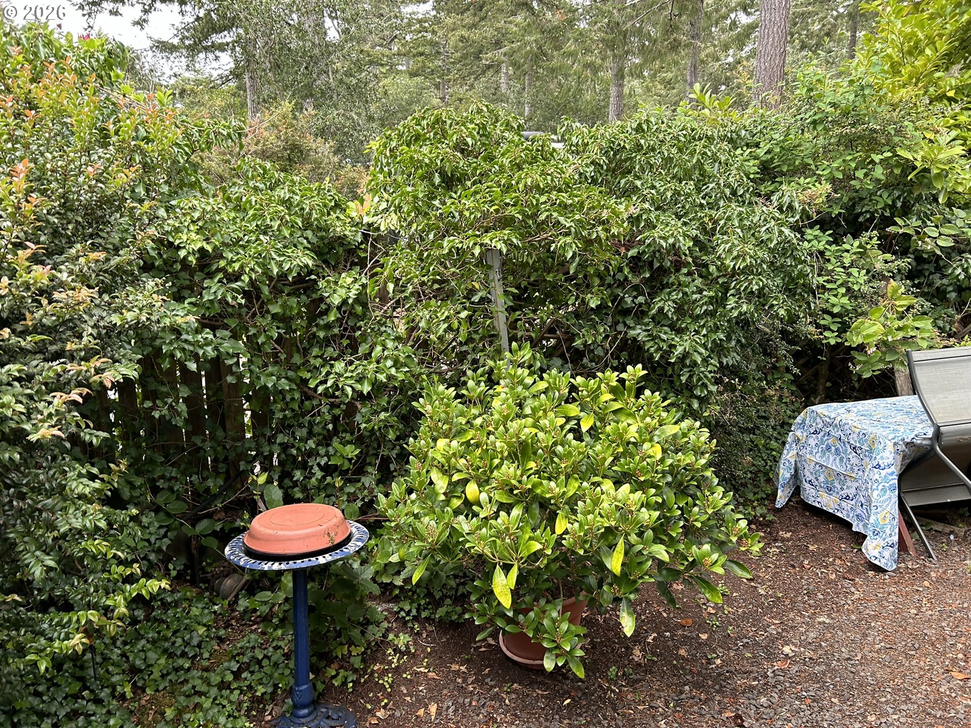 112 Sailor Lane Florence, OR 97439 - Photo 8 of 44 a view of a backyard with a table and chairs